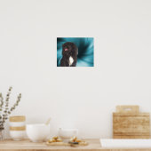 Black Pekingese Blue Swirls Dog Art Poster (Keuken)