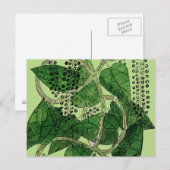 Black Pepper Plant, 1578 Briefkaart (Voorkant / Achterkant)