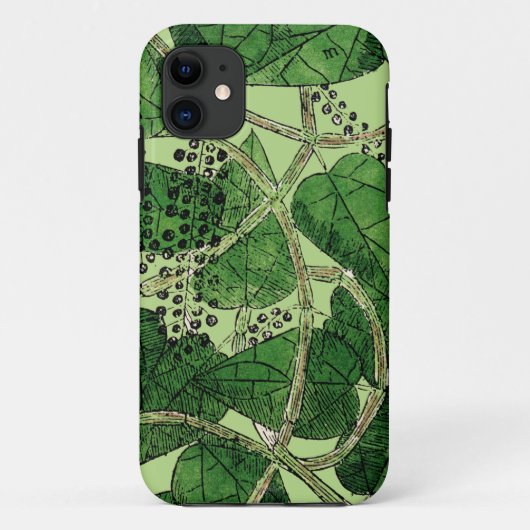 Black Pepper Plant, 1578 Case-Mate iPhone Case (Achterkant)