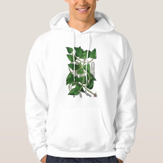 Black Pepper Plant, 1578 Hoodie (Voorkant)