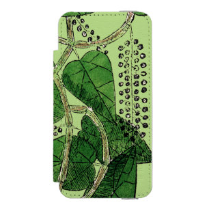 Black Pepper Plant, 1578