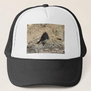 Black Phoebe Custom Photo Trucker Hat Trucker Pet