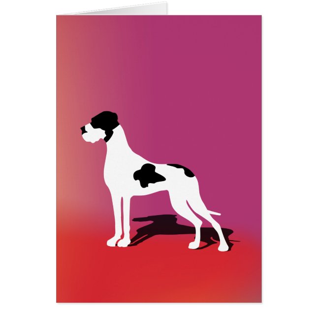 Black Piebald Great Dane (Voorkant)