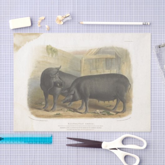 Black Pigs Ephemera Decoupage  Boerderij Tissuepapier (Craft)