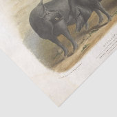 Black Pigs Ephemera Decoupage  Boerderij Tissuepapier (Detail)