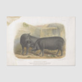 Black Pigs Ephemera Decoupage  Boerderij Tissuepapier (Voorkant)