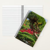 Black Pine Tree en Red Japans Maple Photo Notitieboek (Binnen)