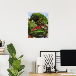 Black Pine Tree en Red Japans Maple Photo Poster