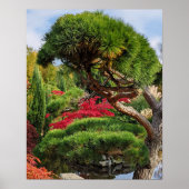 Black Pine Tree en Red Japans Maple Photo Poster (Voorkant)