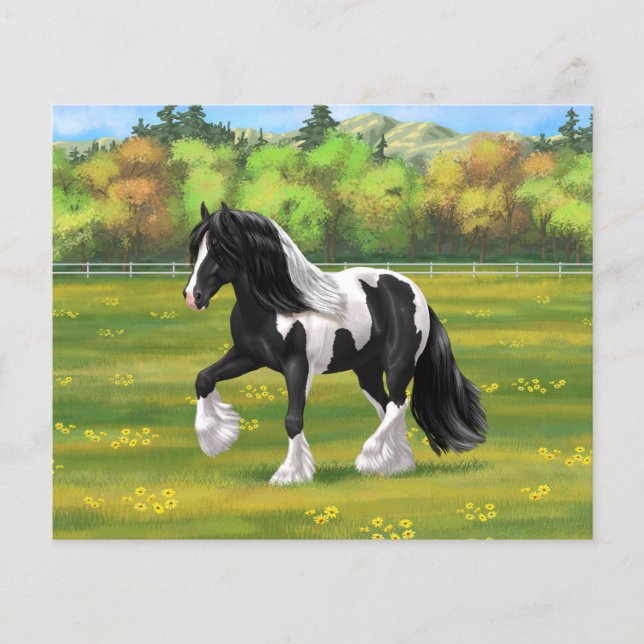 Black Pinto Piebald Gypsy Vanner Draft Horse (Voorkant)