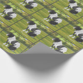 Black Pinto Piebald Gypsy Vanner Draft Horse Cadeaupapier (Hoek)