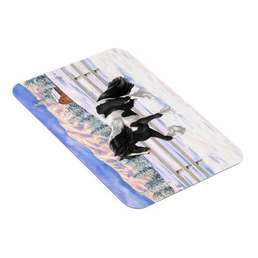 Black Pinto Piebald Gypsy Vanner Draft Horse Magneet (Rechterzijde)