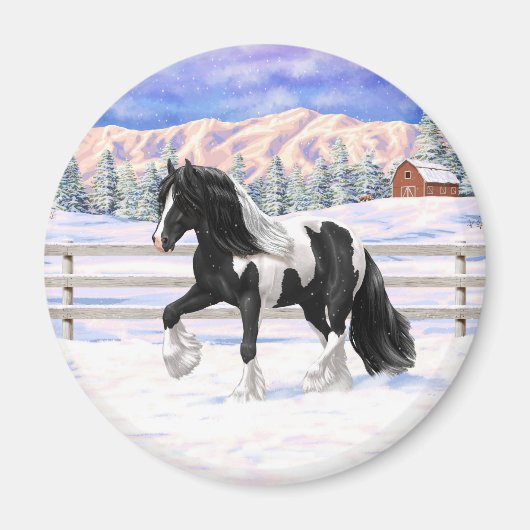 Black Pinto Piebald Gypsy Vanner Draft Horse Magneet (Voorkant)