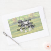 Black Pinto Piebald Gypsy Vanner Draft Horse Rechthoekige Sticker (Envelop)