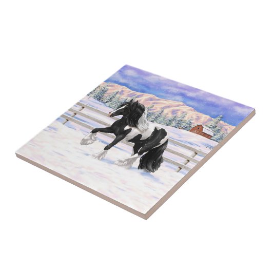 Black Pinto Piebald Gypsy Vanner Draft Horse Tegeltje (Zijkant)