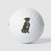 Black Pitbull Staffy Dog Golfballen (Voorkant)