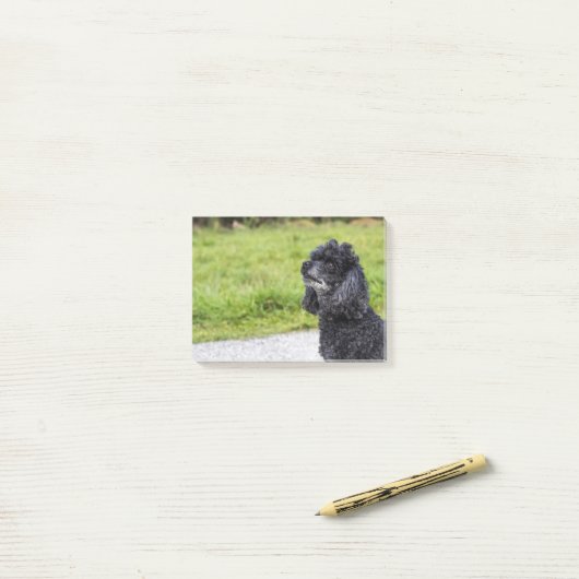 Black Podle 2 Post-it® Notes (Op bureau)