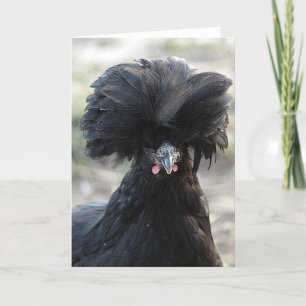 Black Poland Hen Kaart