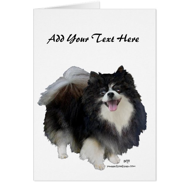 Black Pomeranian (Voorkant)