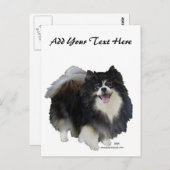 Black Pomeranian Briefkaart (Voorkant / Achterkant)