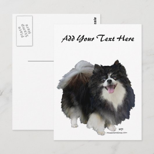 Black Pomeranian Briefkaart (Voorkant / Achterkant)