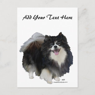 Black Pomeranian Briefkaart