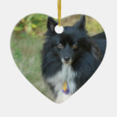 Black Pomeranian Dog Ornament (Voorkant)