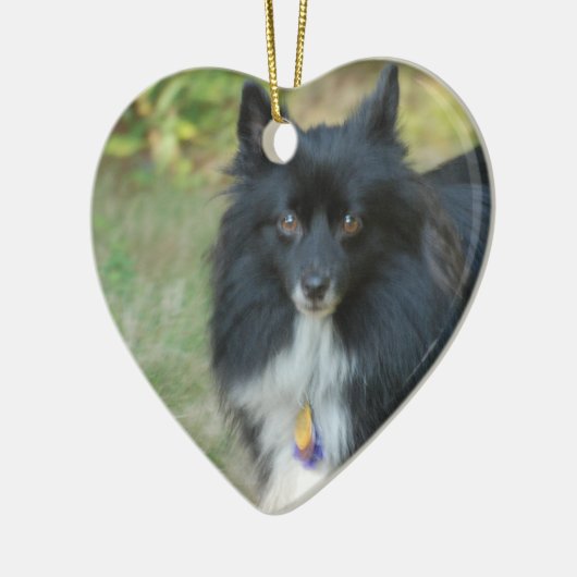 Black Pomeranian Dog Ornament (Links)