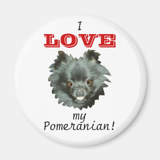 Black Pomeranian-Ik hou van mijn Pomeranian! Magneet