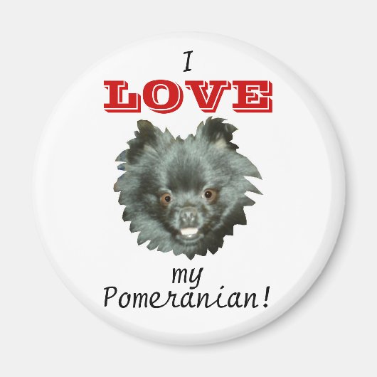 Black Pomeranian-Ik hou van mijn Pomeranian! Magneet (Voorkant)