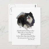 Black Pomeranian Keepomwille Briefkaart (Voorkant / Achterkant)