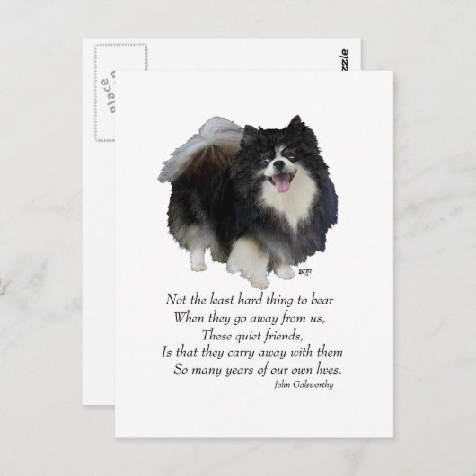 Black Pomeranian Keepomwille Briefkaart (Voorkant / Achterkant)