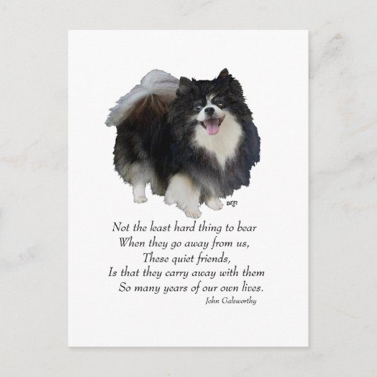Black Pomeranian Keepomwille Briefkaart (Voorkant)