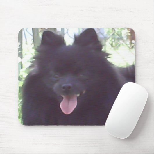 Black Pomeranian Mousepad Muismat (Met muis)