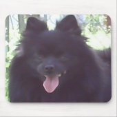 Black Pomeranian Mousepad Muismat (Voorkant)