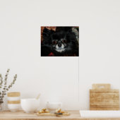 Black Pomeranian Poster (Keuken)