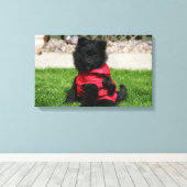 Black Pomeranian Puppy die camera's bekijkt Canvas Afdruk (Insitu (Houten vloer))