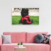 Black Pomeranian Puppy die camera's bekijkt Canvas Afdruk (Insitu (Woonkamer))