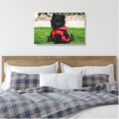 Black Pomeranian Puppy die camera's bekijkt Canvas Afdruk (Insitu (Slaapkamer))