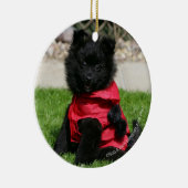 Black Pomeranian Puppy die camera's bekijkt Keramisch Ornament (Rechts)