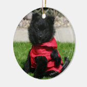 Black Pomeranian Puppy die camera's bekijkt Keramisch Ornament (Links)