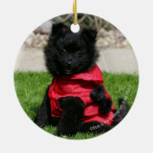 Black Pomeranian Puppy die camera's bekijkt Keramisch Ornament (Achterkant)