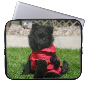 Black Pomeranian Puppy die camera's bekijkt Laptop Sleeve