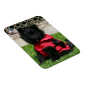 Black Pomeranian Puppy die camera's bekijkt Magneet (Rechterzijde)