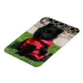 Black Pomeranian Puppy die camera's bekijkt Magneet (Linkerzijde)