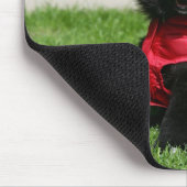 Black Pomeranian Puppy die camera's bekijkt Muismat (Hoek)