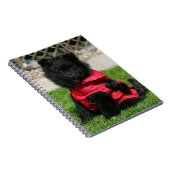 Black Pomeranian Puppy die camera's bekijkt Notitieboek (Rechterzijde)