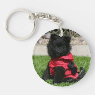 Black Pomeranian Puppy die camera's bekijkt Sleutelhanger
