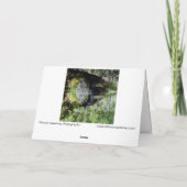 "Black Pond" Adirondack Lake en Rock Landscape Kaart (Achterkant)