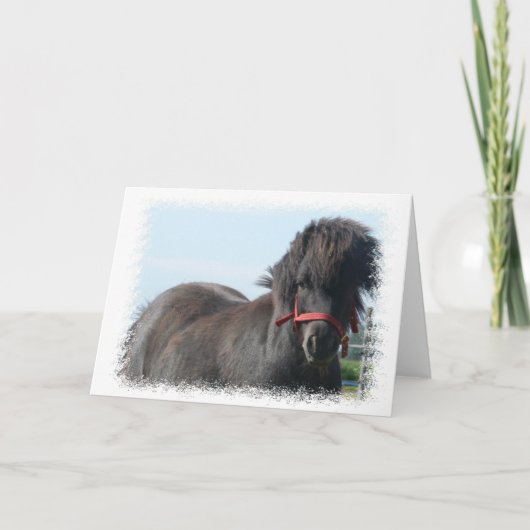 Black Pony Greeting Card Kaart (Voorkant)